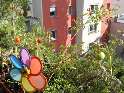 Balkon1